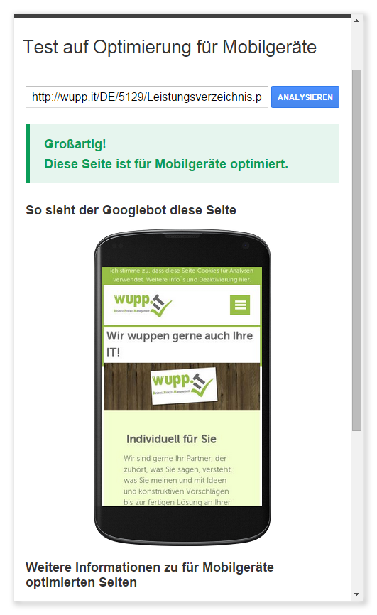 screenshot google mobiltest